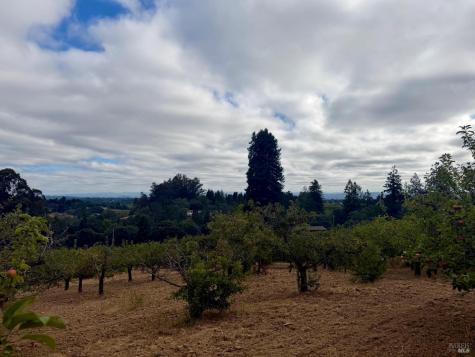 237 Gold Ridge Road Sebastopol CA 95472
