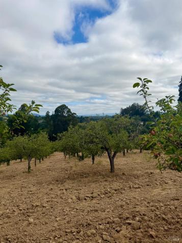 237 Gold Ridge Road Sebastopol CA 95472