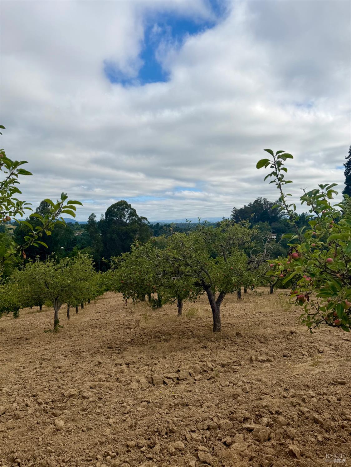 237 Gold Ridge Road Sebastopol CA 95472