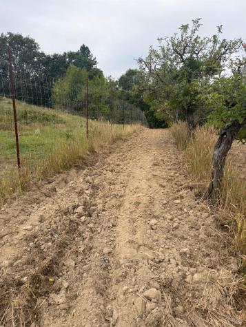 237 Gold Ridge Road Sebastopol CA 95472