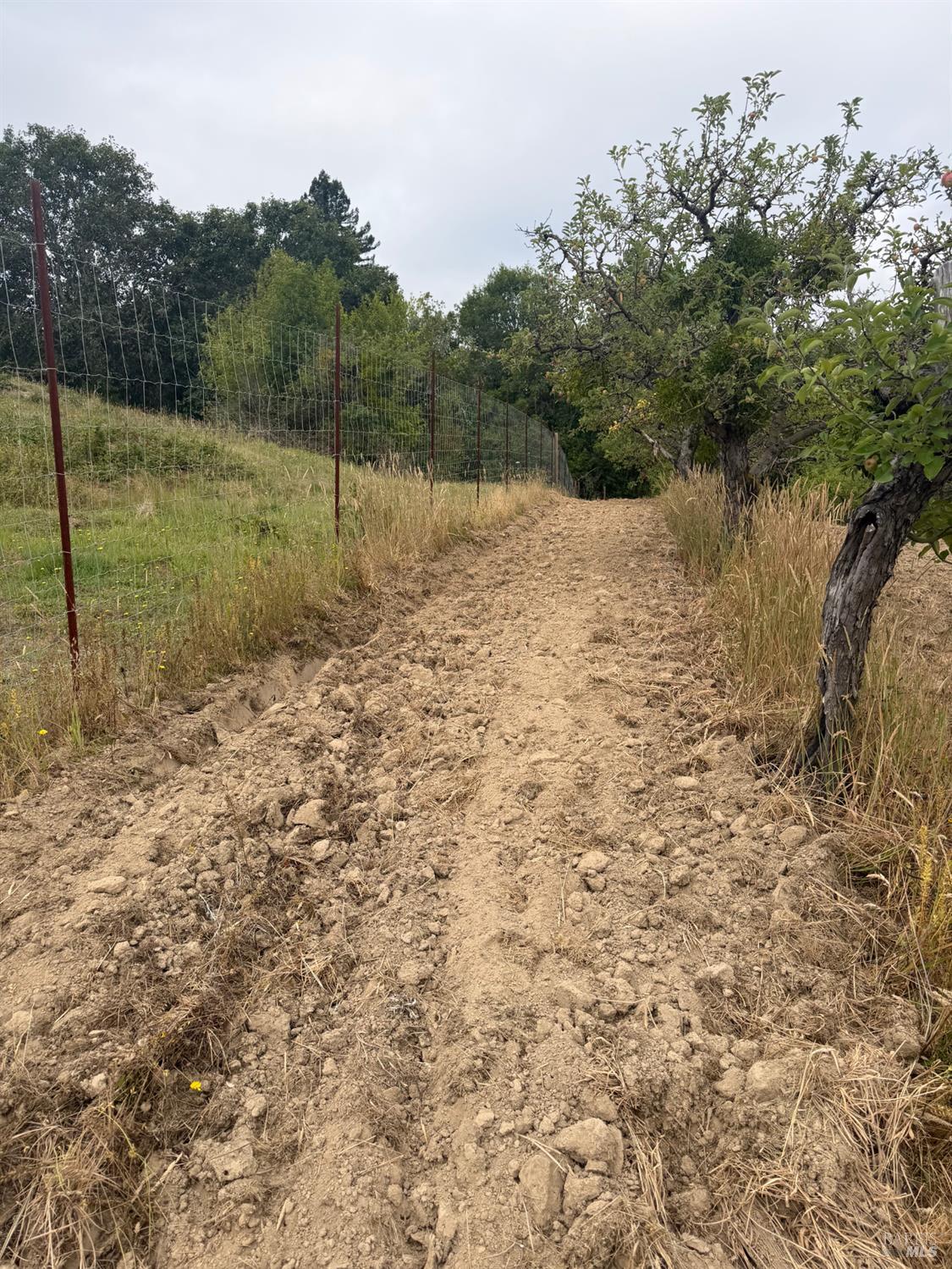 237 Gold Ridge Road Sebastopol CA 95472