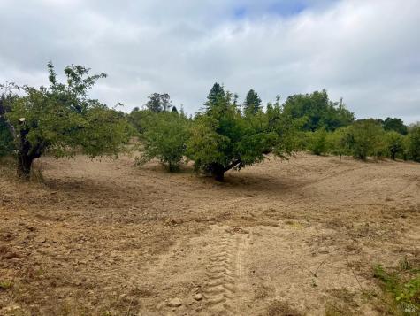 237 Gold Ridge Road Sebastopol CA 95472