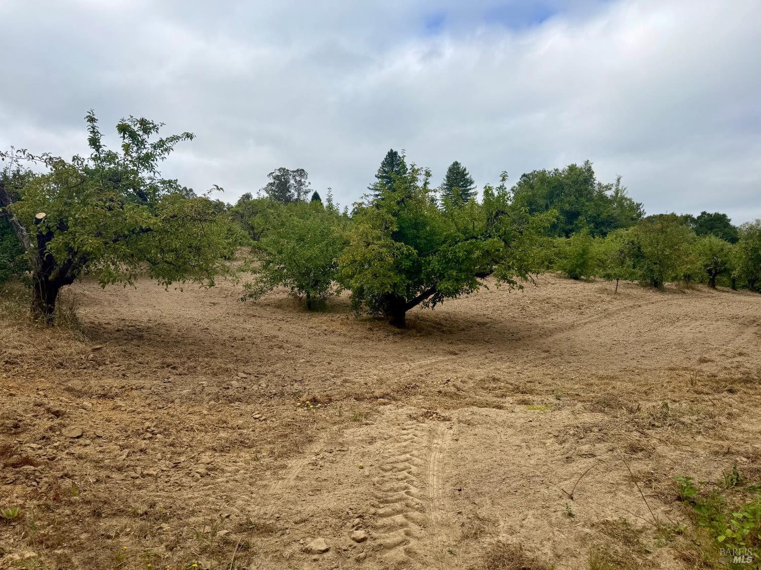 237 Gold Ridge Road Sebastopol CA 95472