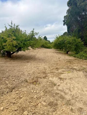 237 Gold Ridge Road Sebastopol CA 95472