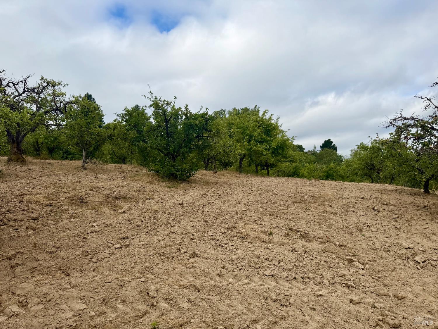 237 Gold Ridge Road Sebastopol CA 95472
