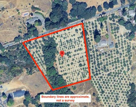 237 Gold Ridge Road Sebastopol CA 95472