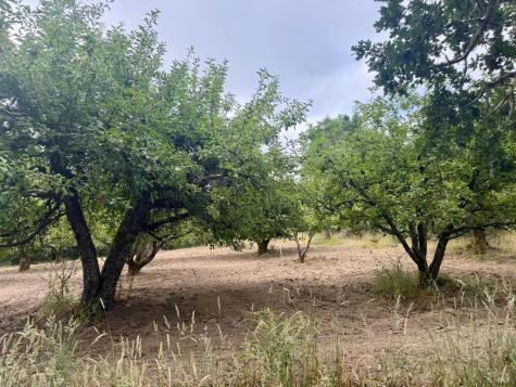 237 Gold Ridge Road Sebastopol CA 95472