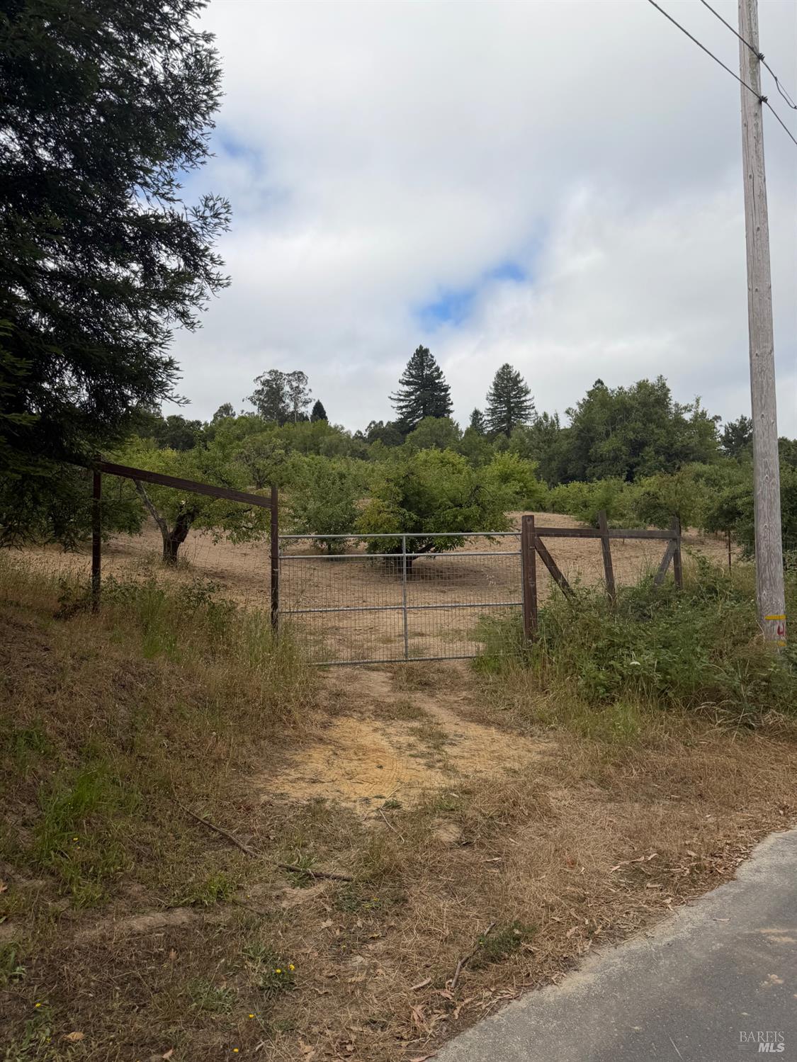 237 Gold Ridge Road Sebastopol CA 95472