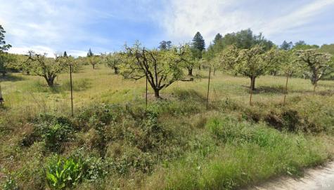 237 Gold Ridge Road Sebastopol CA 95472