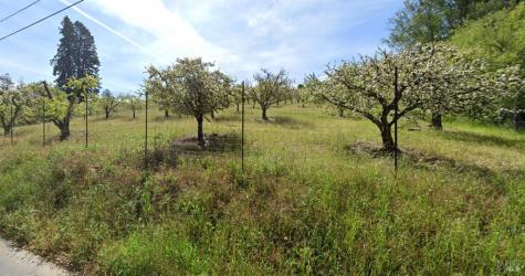 237 Gold Ridge Road Sebastopol CA 95472