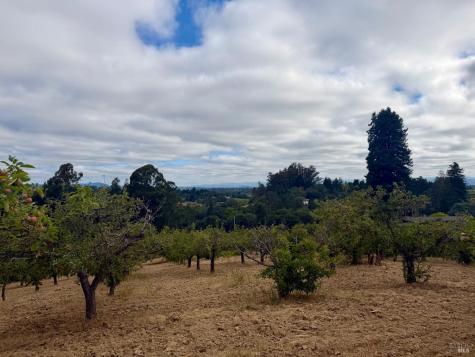 237 Gold Ridge Road Sebastopol CA 95472
