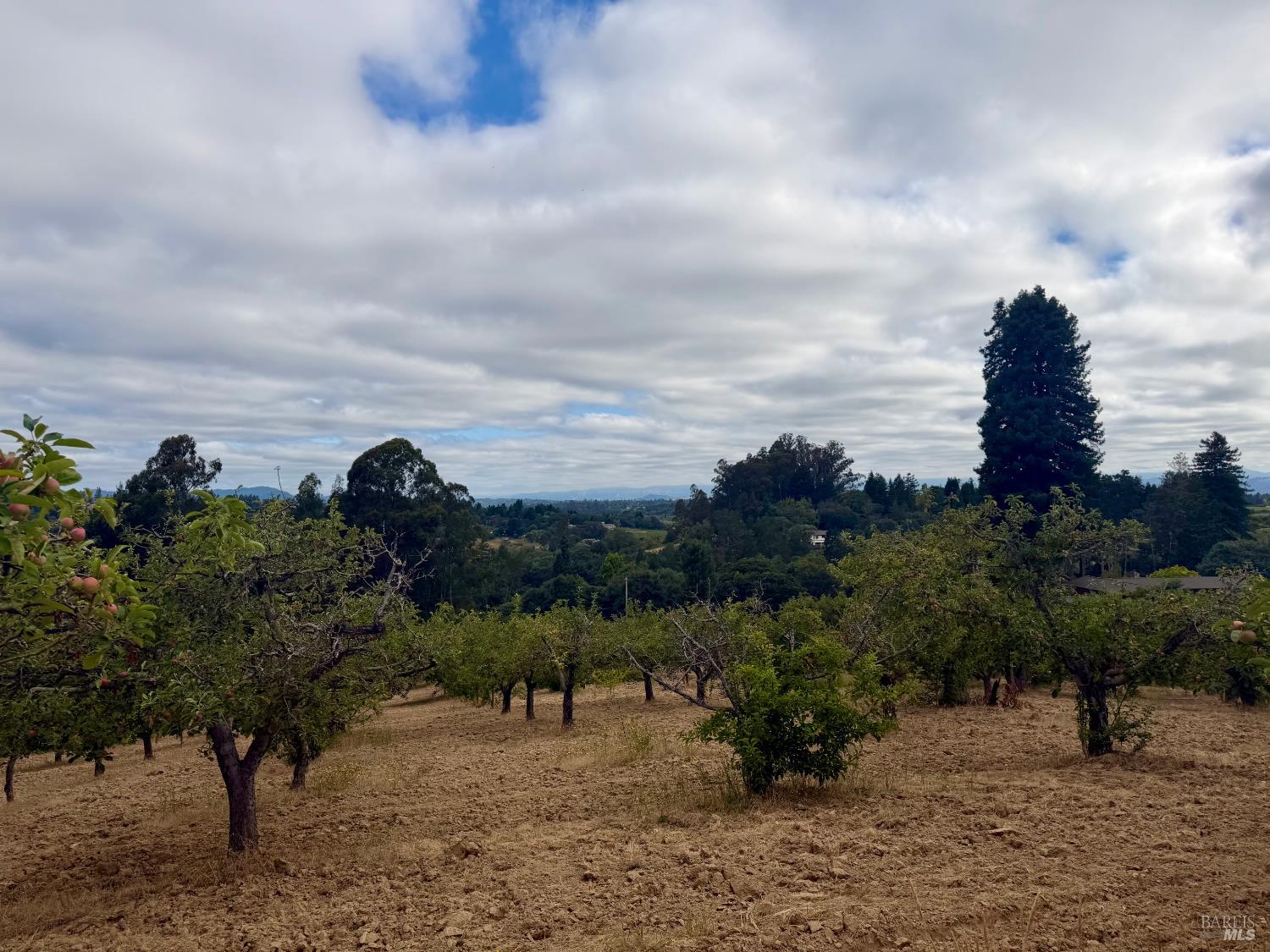 237 Gold Ridge Road Sebastopol CA 95472