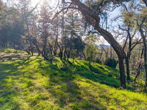 11641 Highway 128 Healdsburg CA 95448