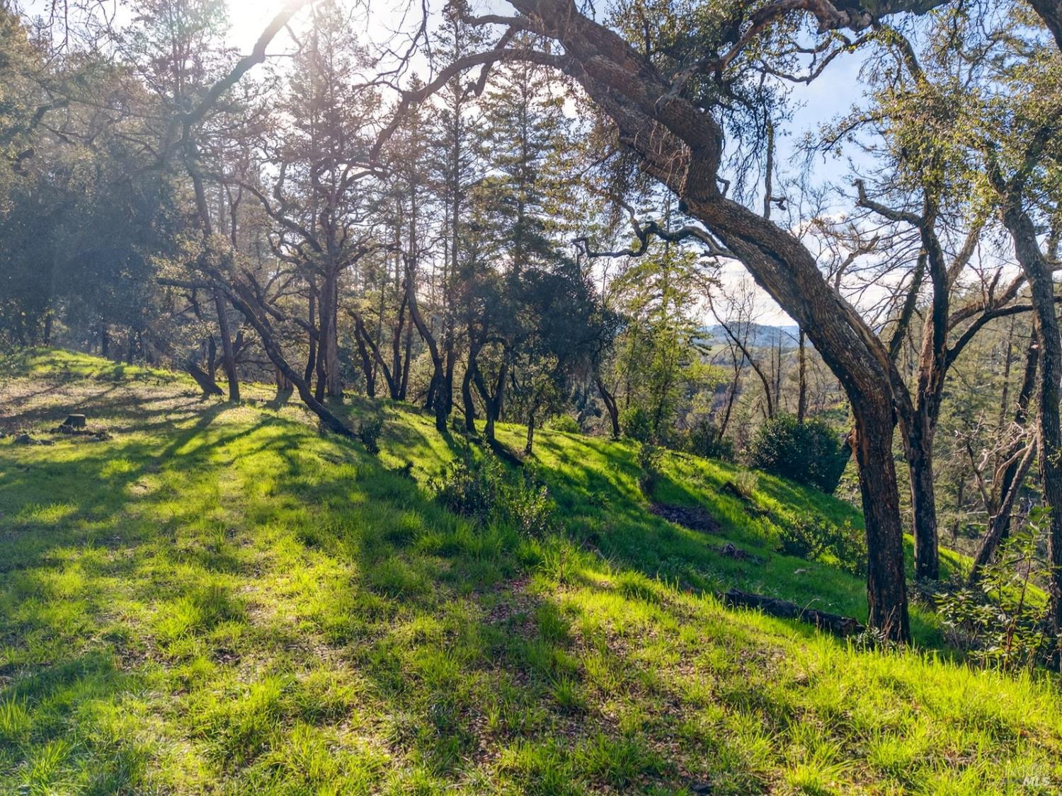 11641 Highway 128 Healdsburg CA 95448