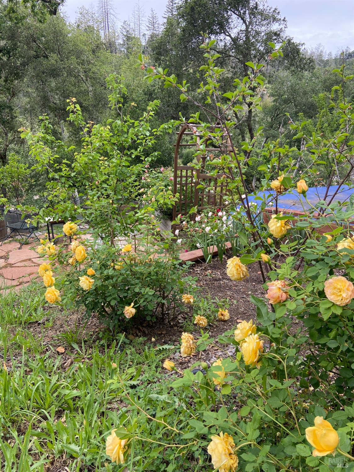 11641 Highway 128 Healdsburg CA 95448