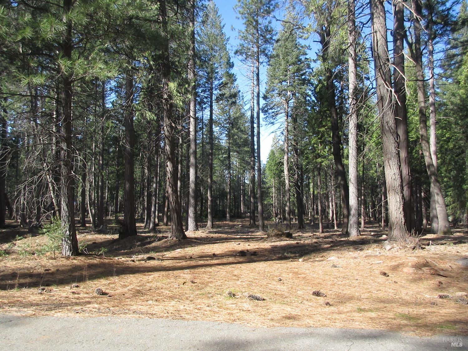 3 Acres Woodridge Drive Shingletown CA 96088
