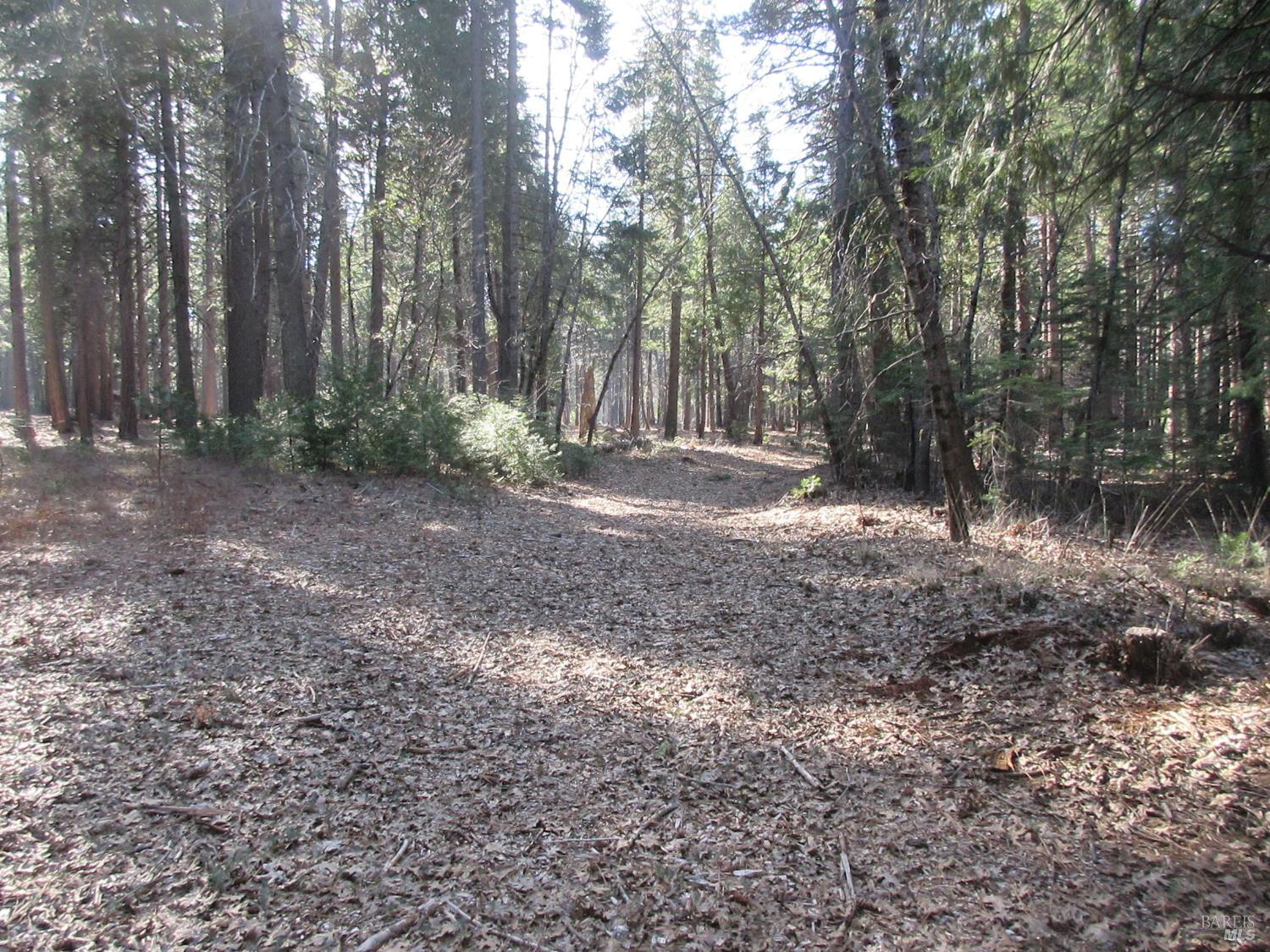 3 Acres Woodridge Drive Shingletown CA 96088