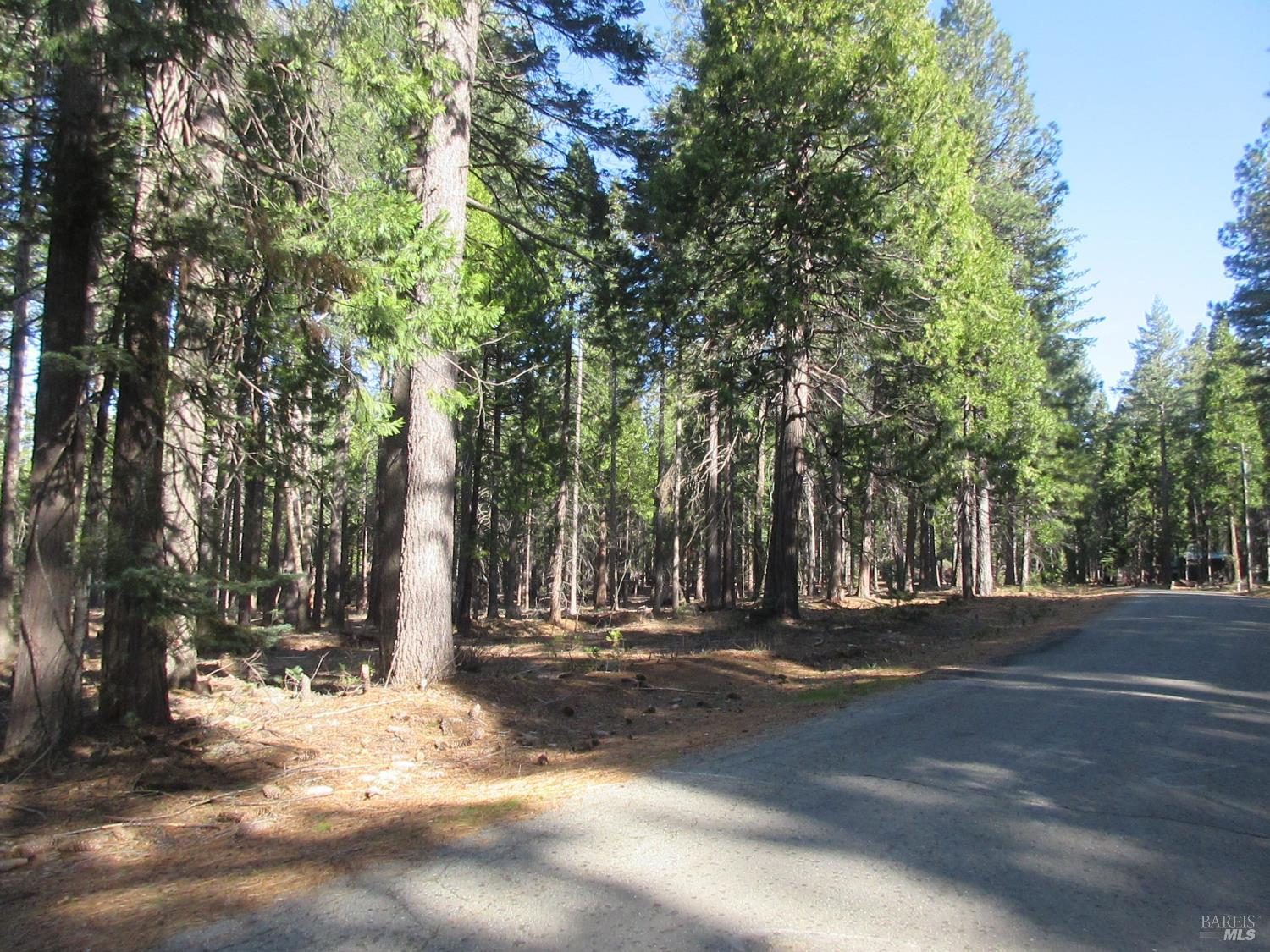 3 Acres Woodridge Drive Shingletown CA 96088