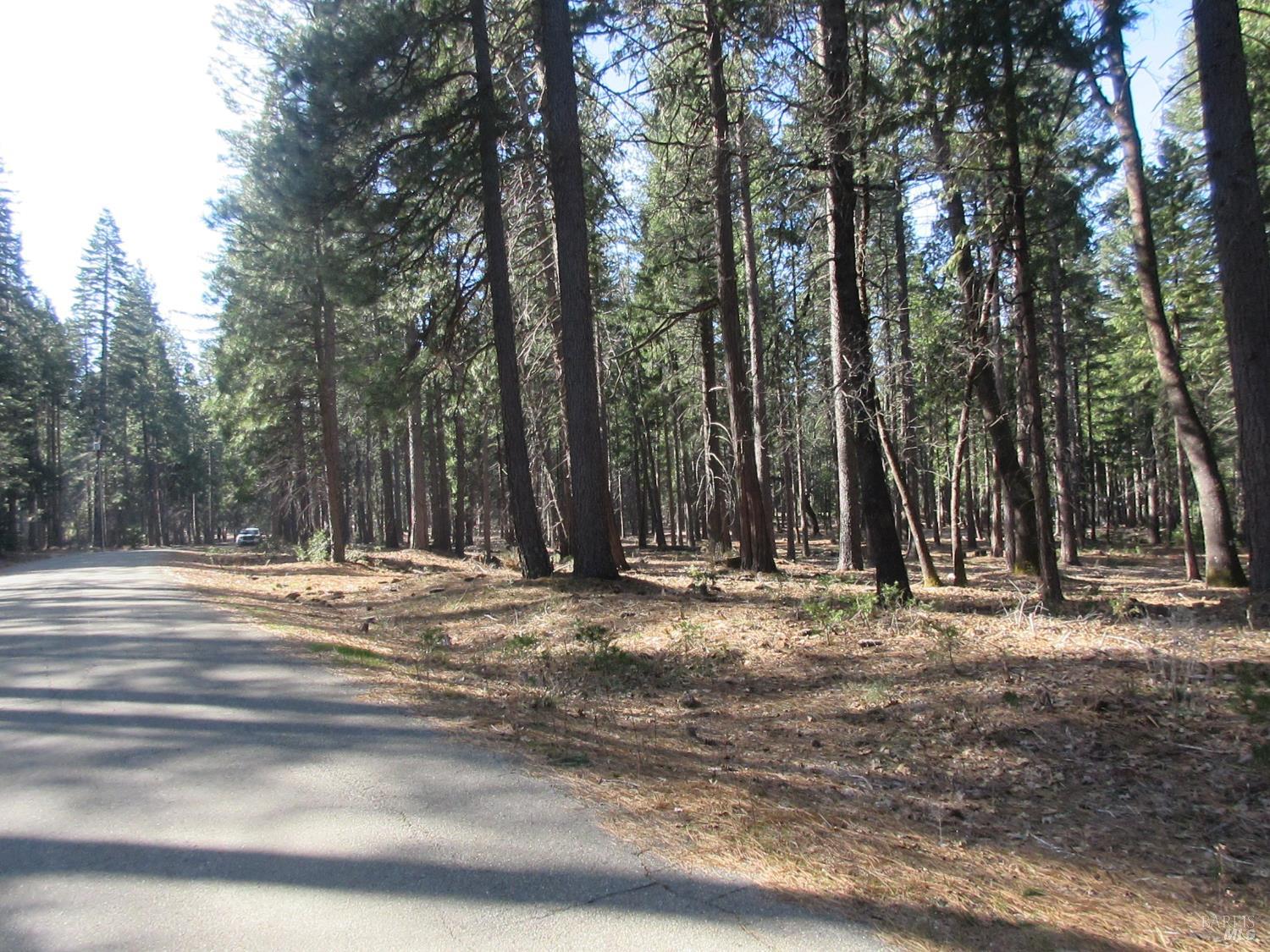 3 Acres Woodridge Drive Shingletown CA 96088