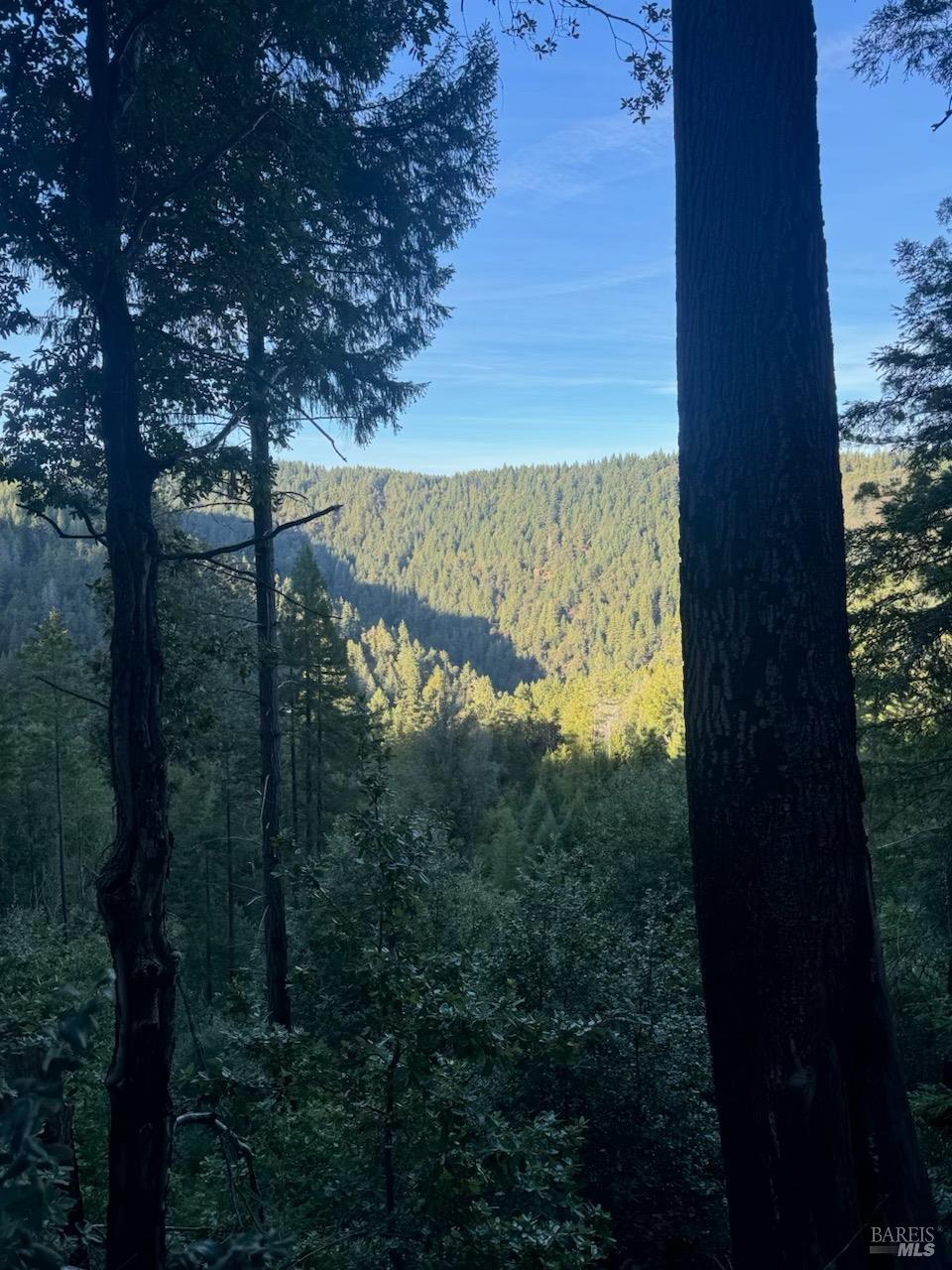 8555 Signal Ridge Road Philo CA 95466