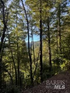 8555 Signal Ridge Road Philo CA 95466