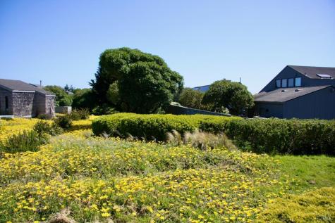 1968 Sea Way Bodega Bay CA 94923