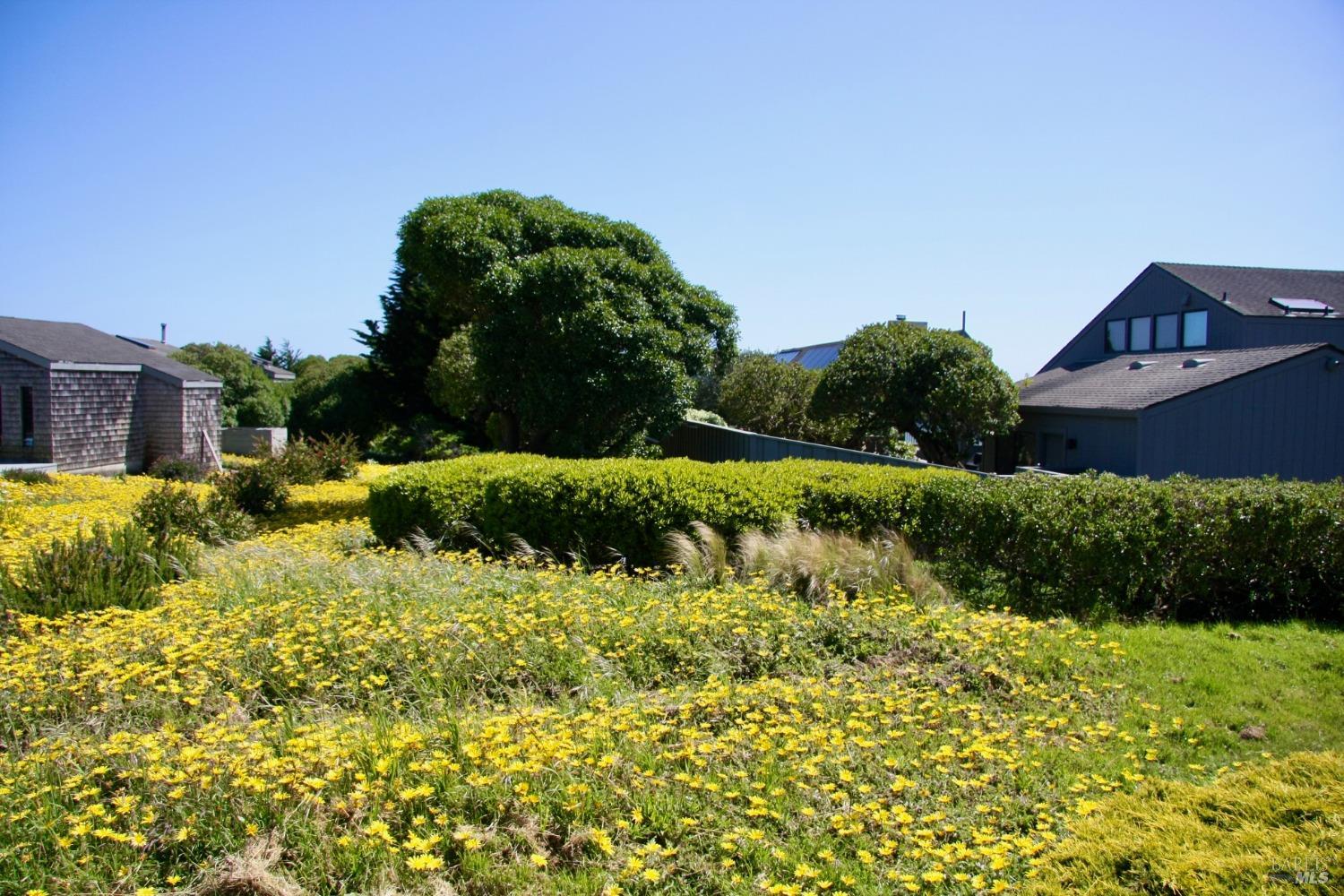 1968 Sea Way Bodega Bay CA 94923
