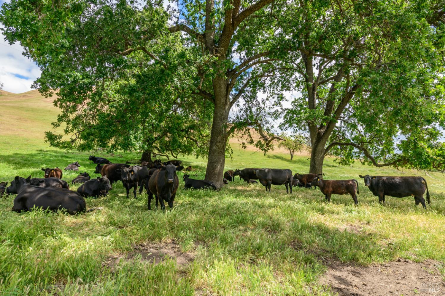 0 Gibson Canyon Road Vacaville CA 95688