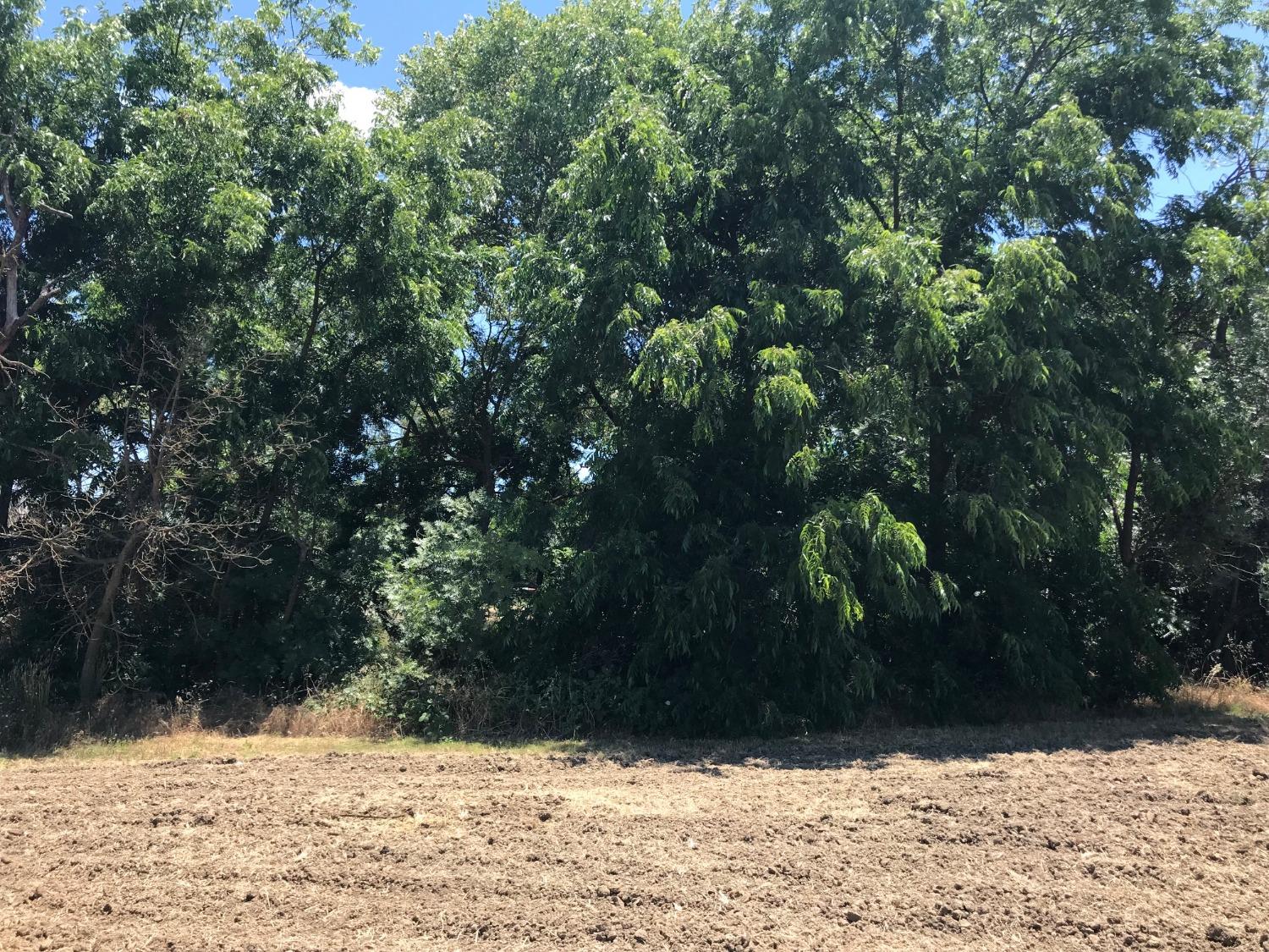 0 County Road 30 Davis CA 95616