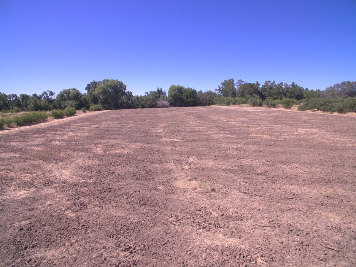 0 County Road 30 Davis CA 95616