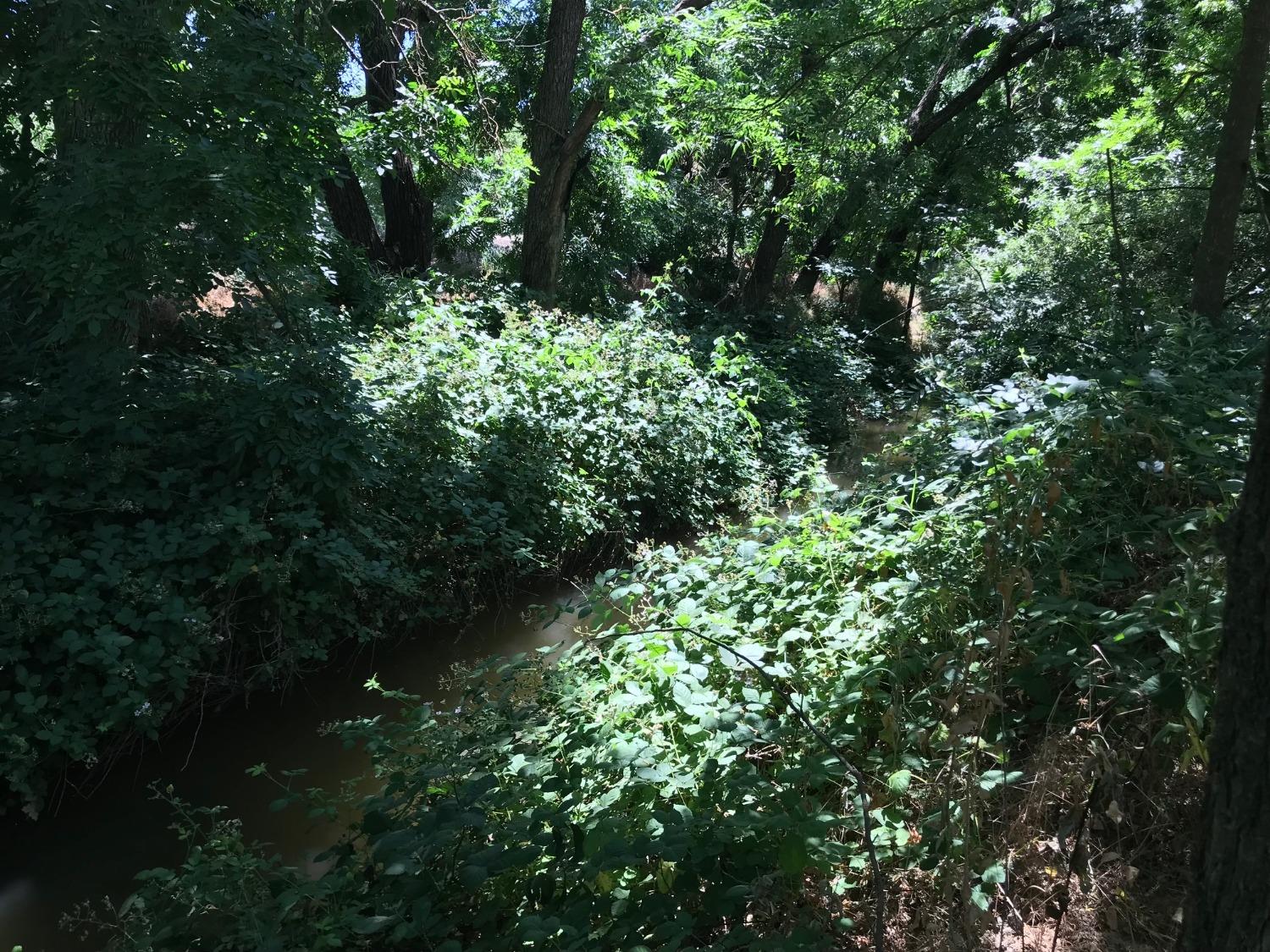 0 County Road 30 Davis CA 95616