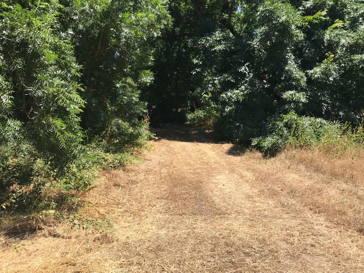 0 County Road 30 Davis CA 95616
