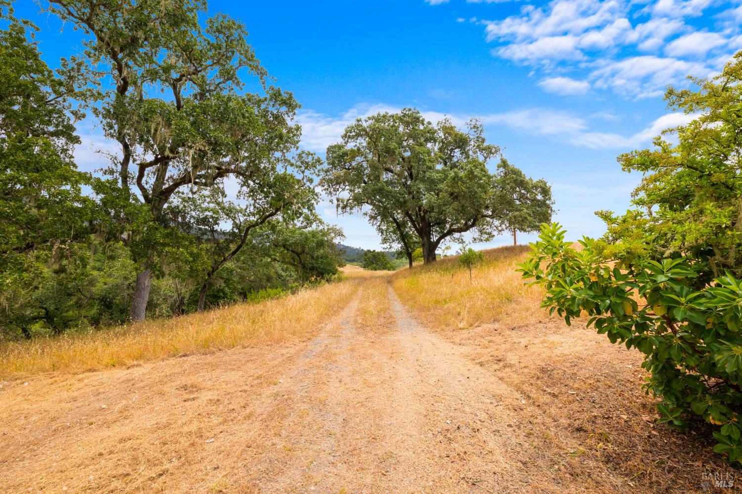 23655 Vineyard Road Geyserville CA 95441