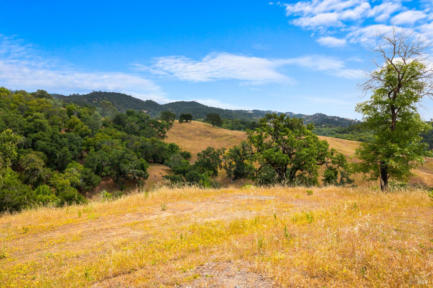 23655 Vineyard Road Geyserville CA 95441