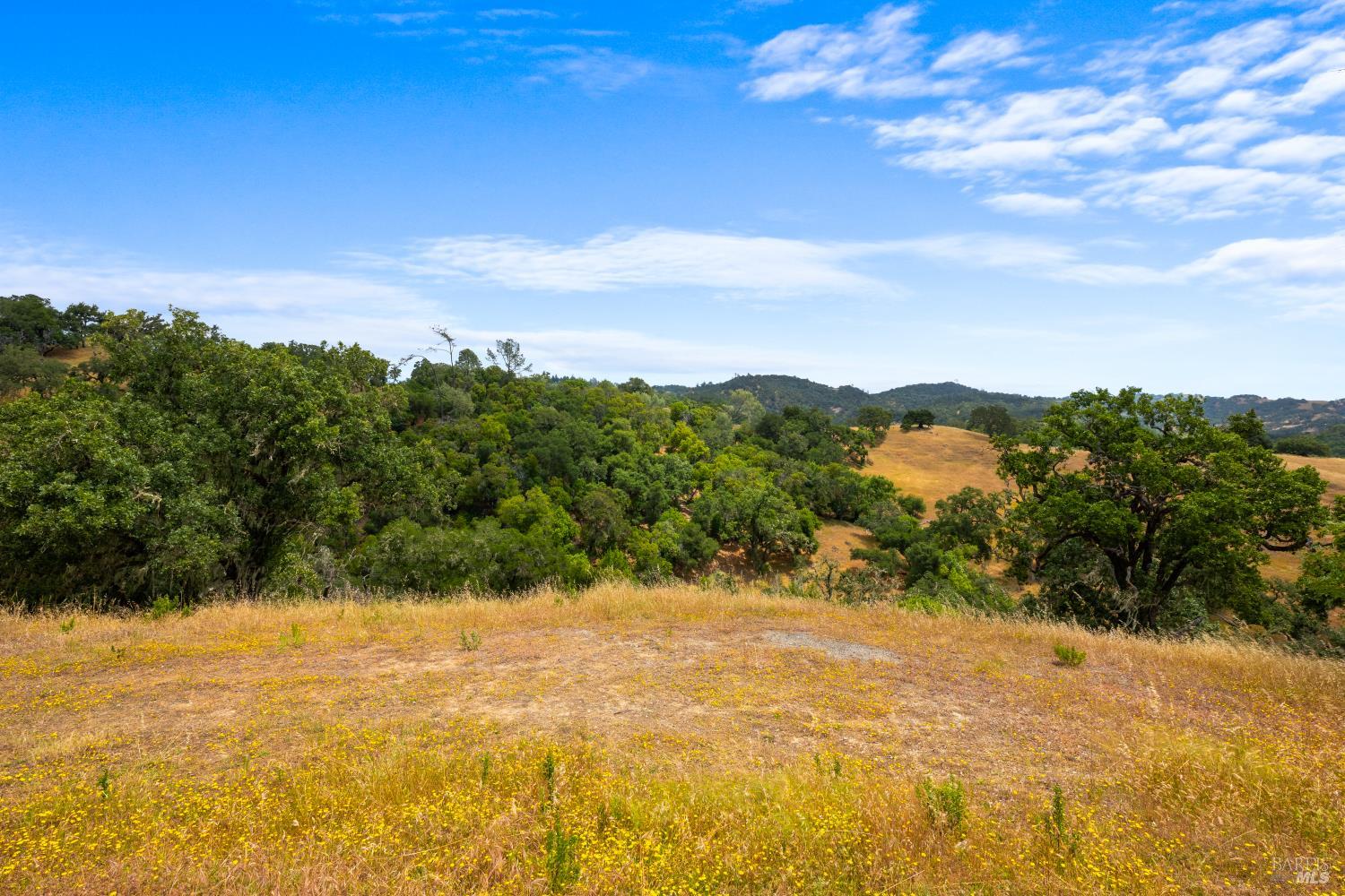 23655 Vineyard Road Geyserville CA 95441