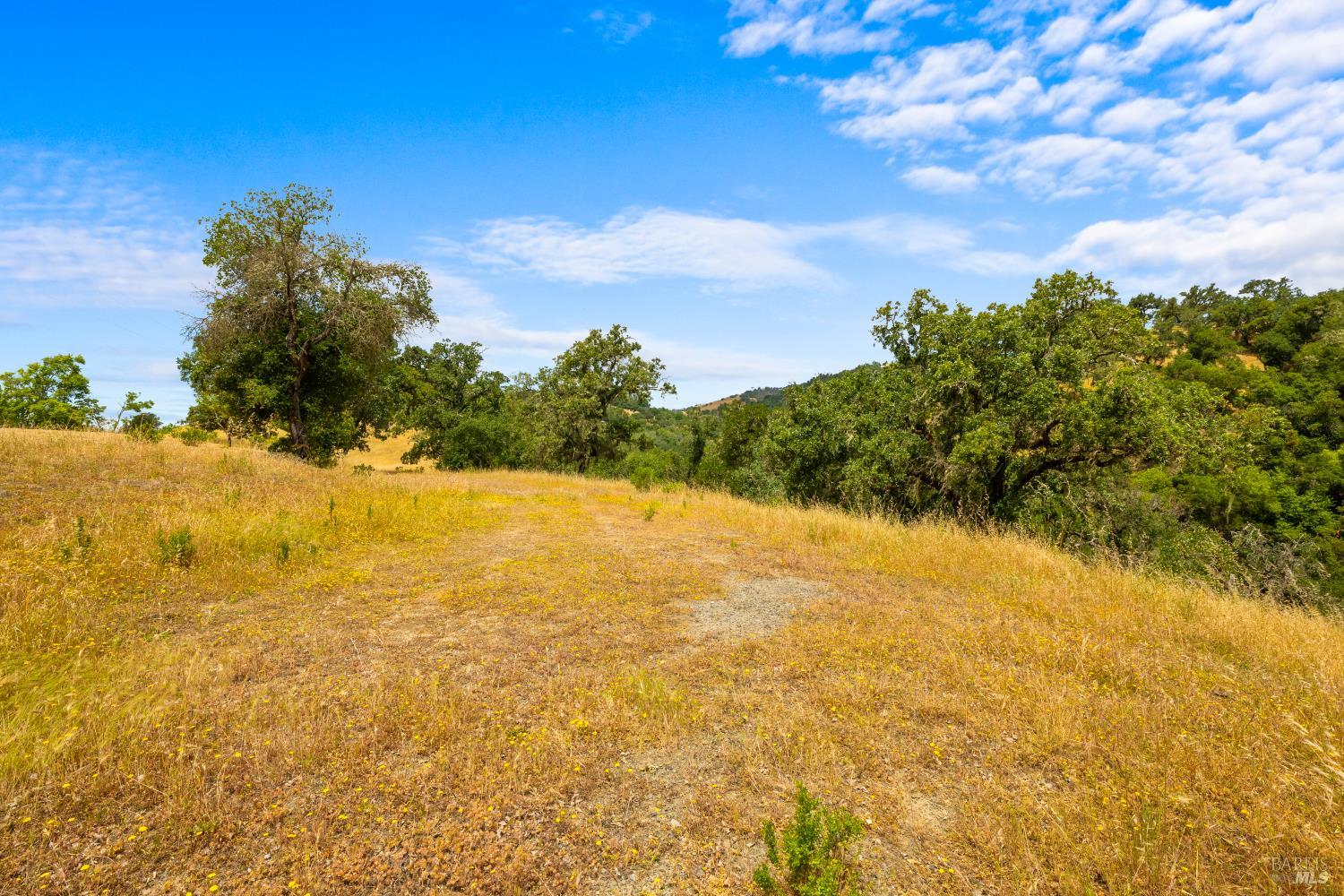 23655 Vineyard Road Geyserville CA 95441