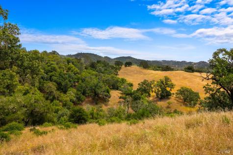 23655 Vineyard Road Geyserville CA 95441