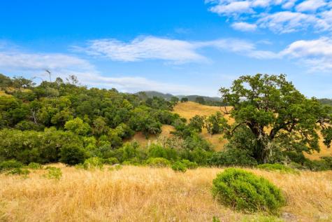 23655 Vineyard Road Geyserville CA 95441
