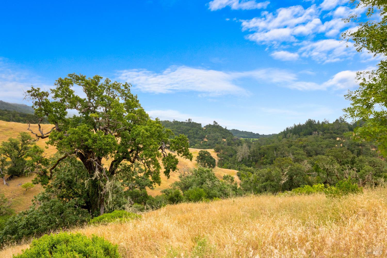 23655 Vineyard Road Geyserville CA 95441