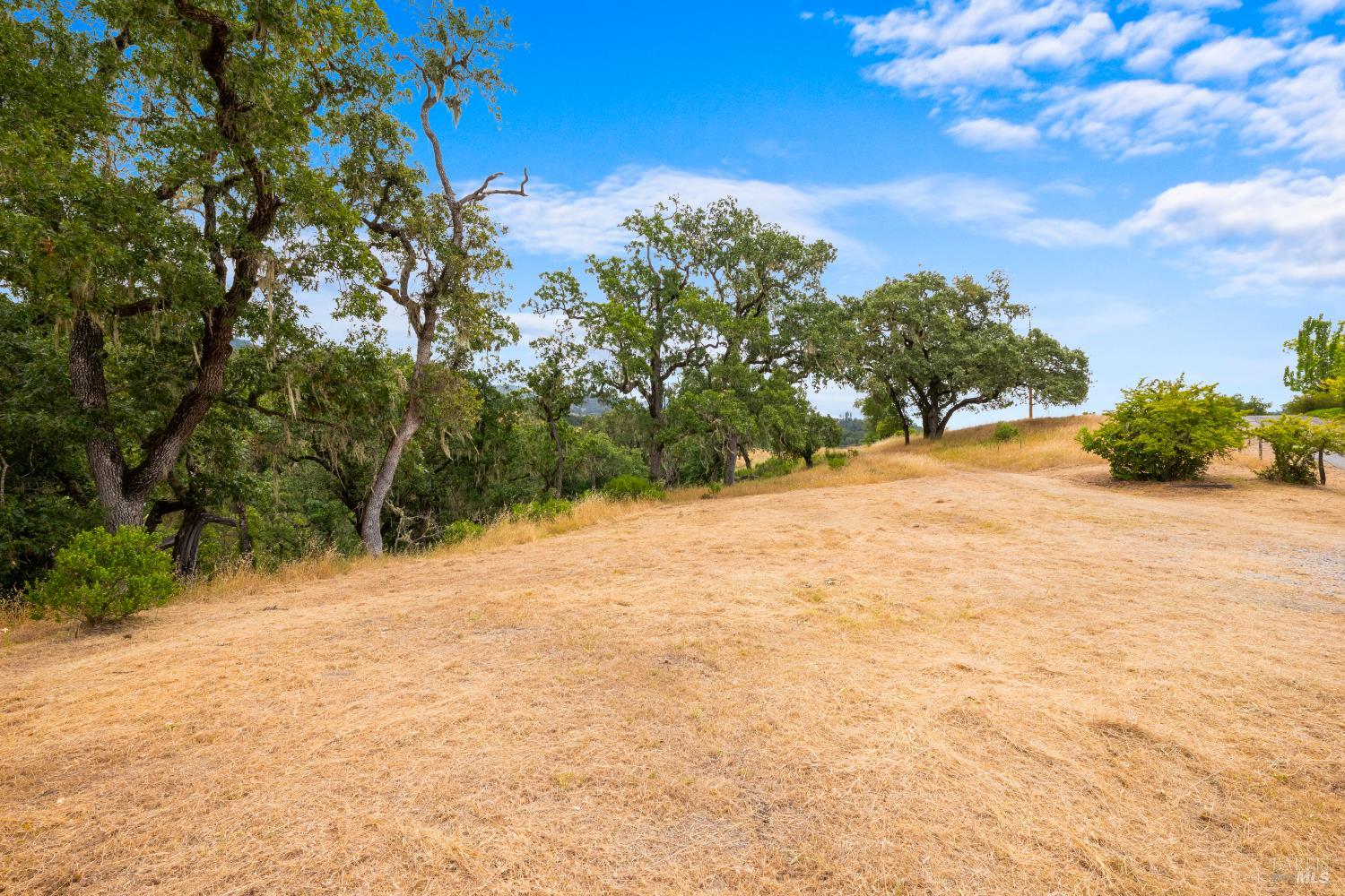 23655 Vineyard Road Geyserville CA 95441