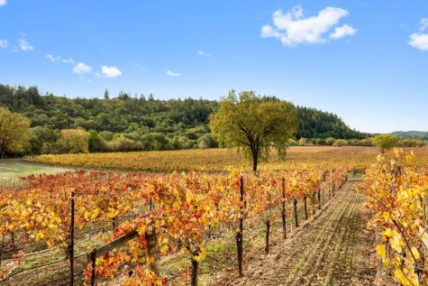 6750 River Road Forestville CA 95436