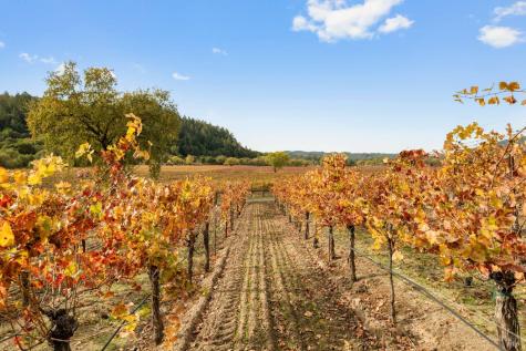 6750 River Road Forestville CA 95436