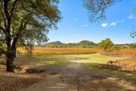 6750 River Road Forestville CA 95436