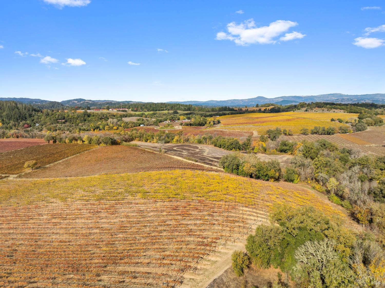 6750 River Road Forestville CA 95436