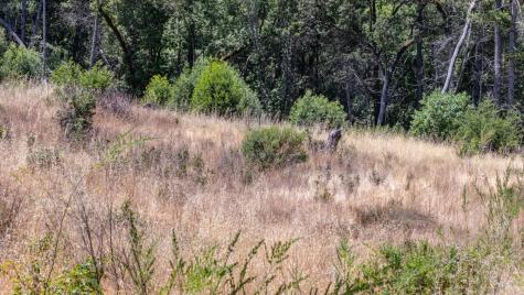 5364 Mill Creek Road Healdsburg CA 95448