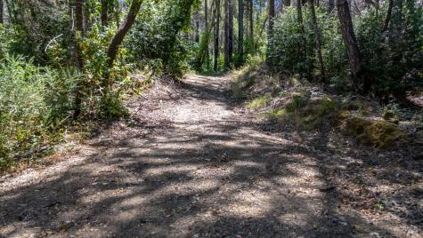 5364 Mill Creek Road Healdsburg CA 95448