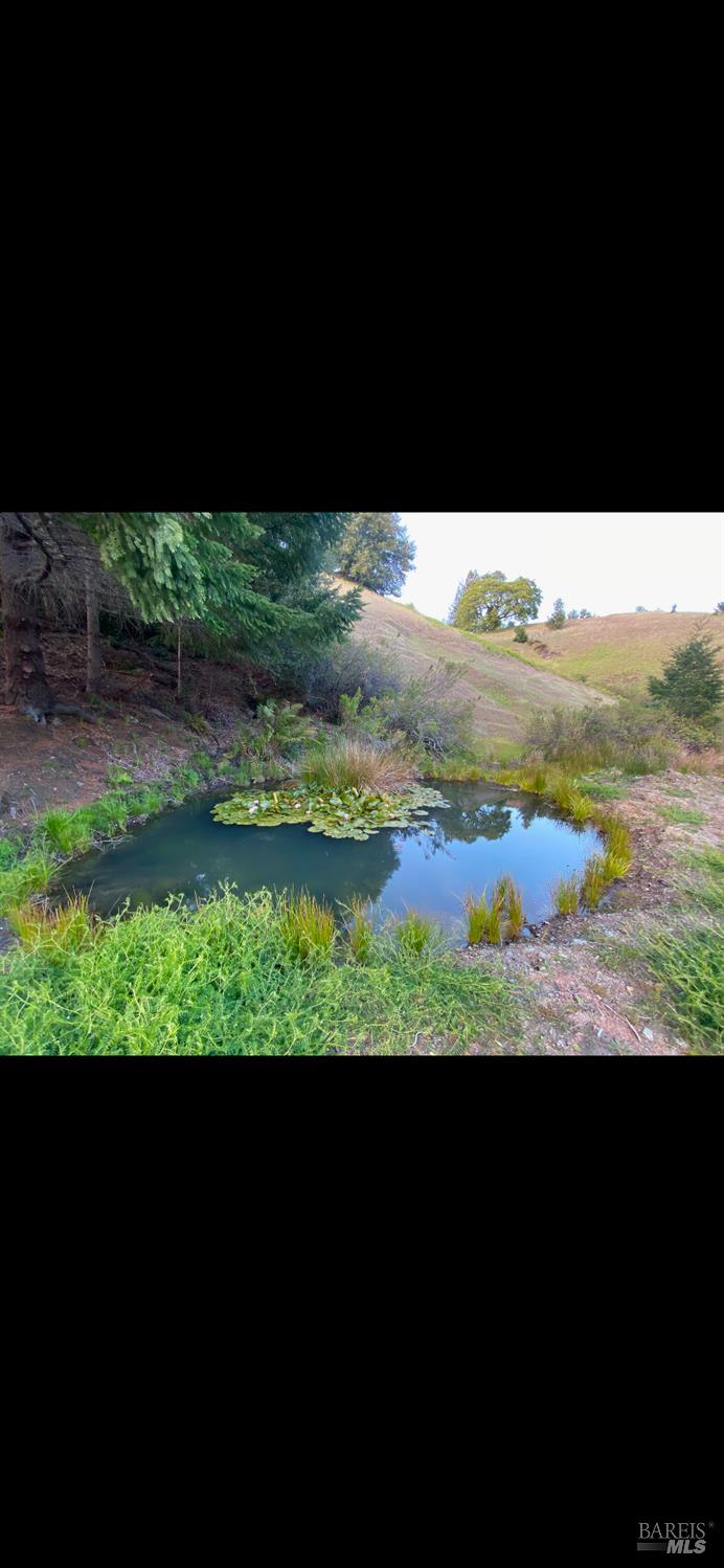 1701 Etter Ranch Road Garberville CA 95542