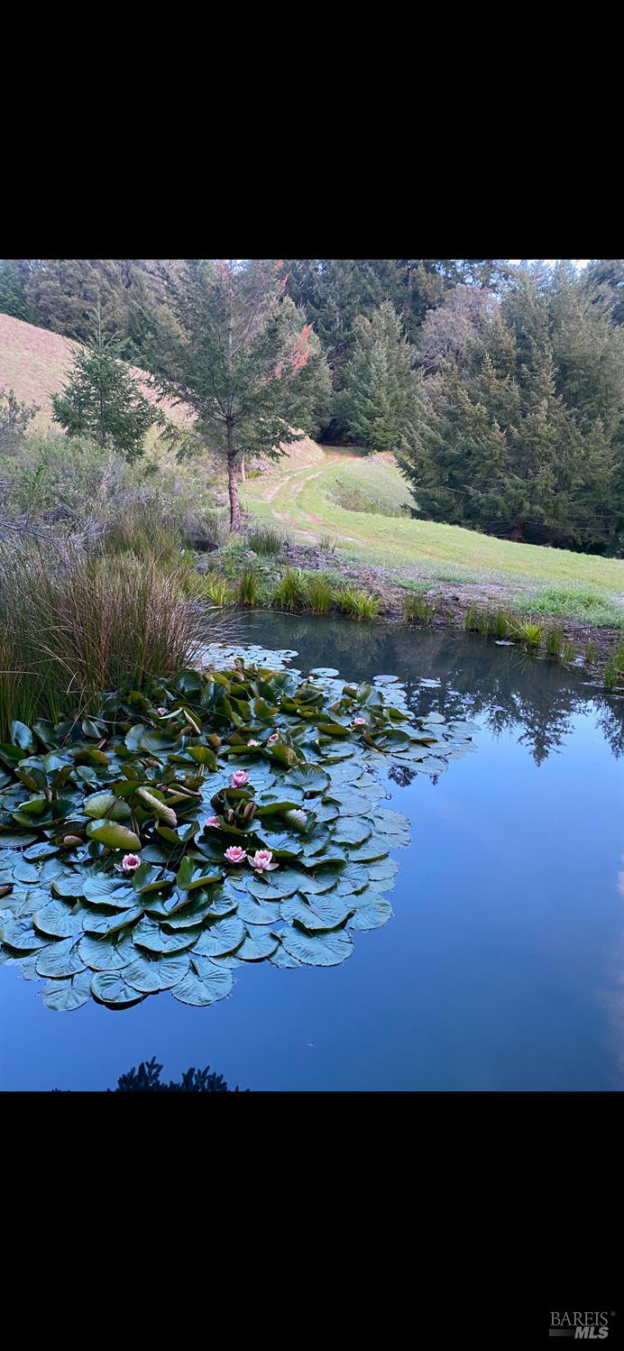 1701 Etter Ranch Road Garberville CA 95542