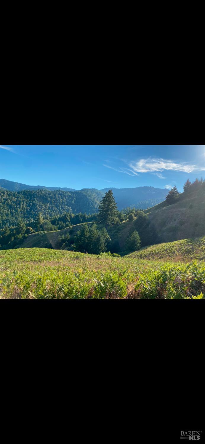 1701 Etter Ranch Road Garberville CA 95542