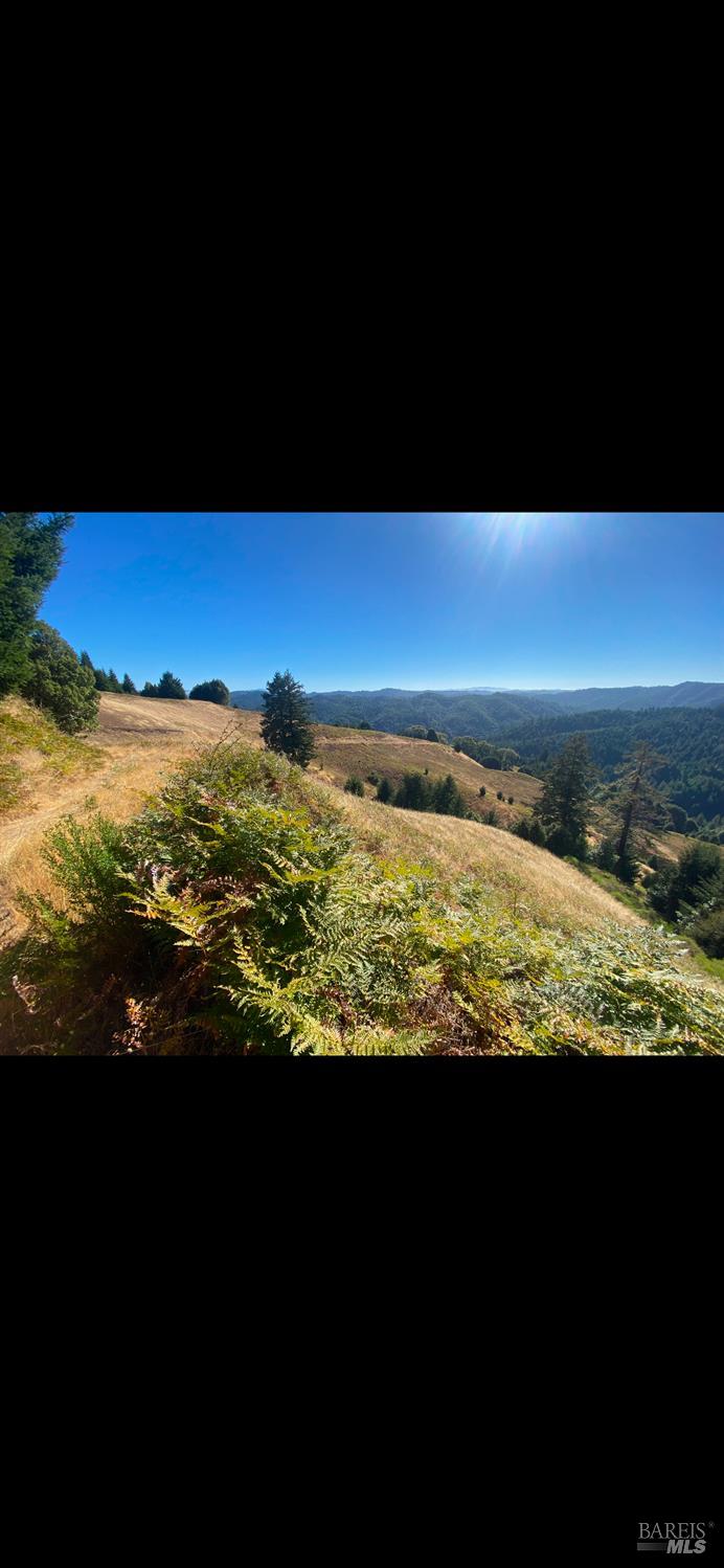 1701 Etter Ranch Road Garberville CA 95542